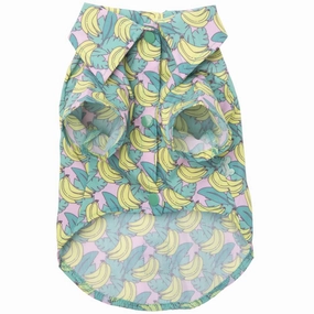 DogApparel