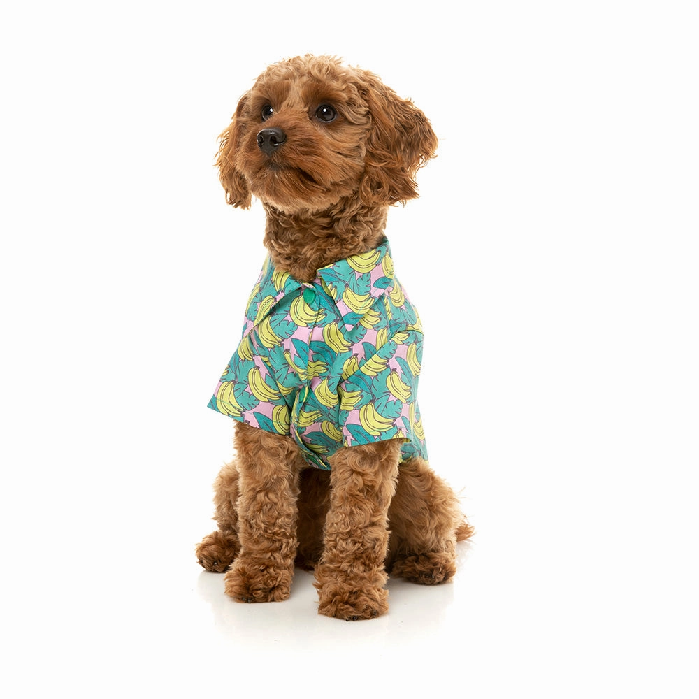 Fuzzyard Dog Button Up Shirt - Bananarama Size 4