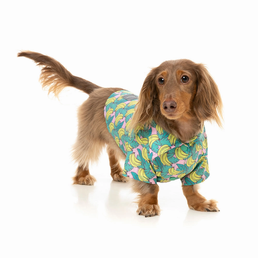 Fuzzyard Dog Button Up Shirt - Bananarama Size 4
