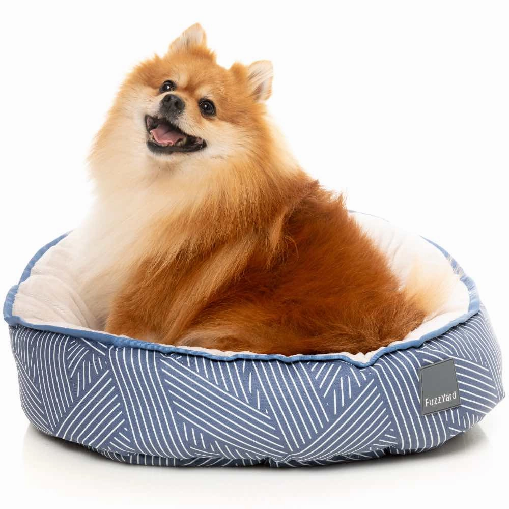 FuzzYard Reversible Dog Bed (Thornbury Aegean Blue)
