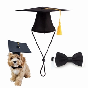 Graduation Hat and Bow Tie english tack set,horse saddle gear,equestrian supplies