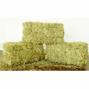 Hay made in usa dog toy,usa dog food,american dog products