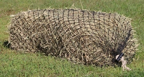 Hay Chix Heavy Duty Small Square Bale Hay Net Feeder for Horses dog plush toy,stuffed animal dog,cuddly dog toy