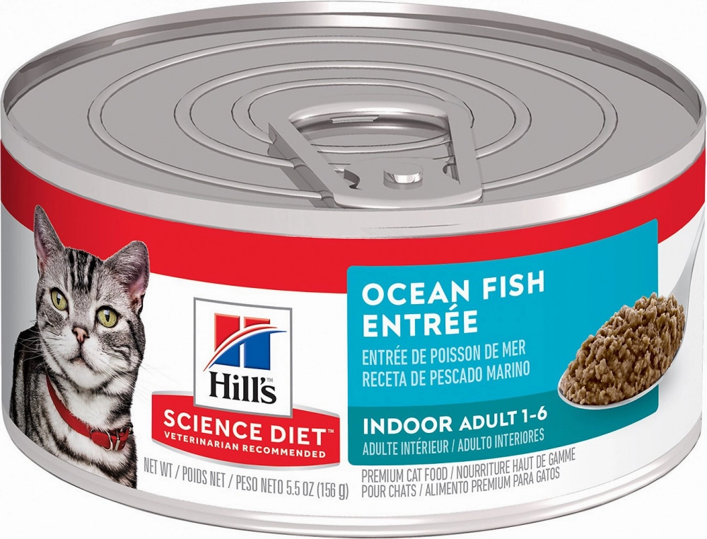 Hill's Science Diet Adult Indoor Ocean Fish Entree Canned Cat Food cat supplies,cat essentials,cat accessories
