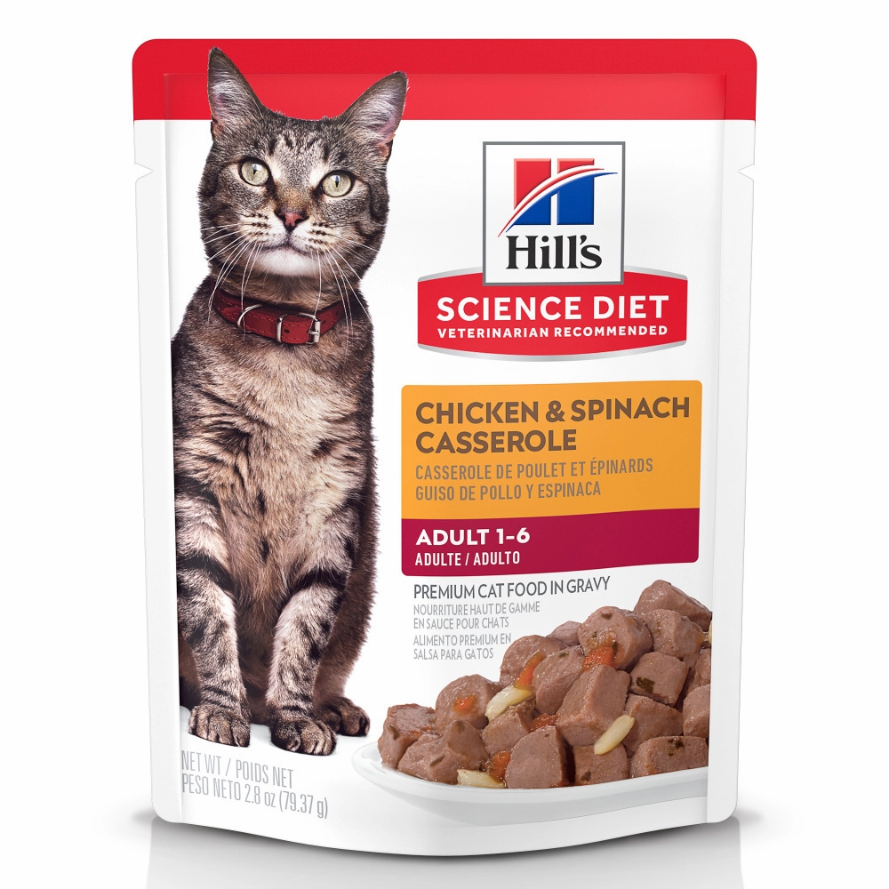 Hill's Science Diet Chicken & Spinach Casserole Adult Wet Cat Food cat supplies,cat essentials,cat accessories