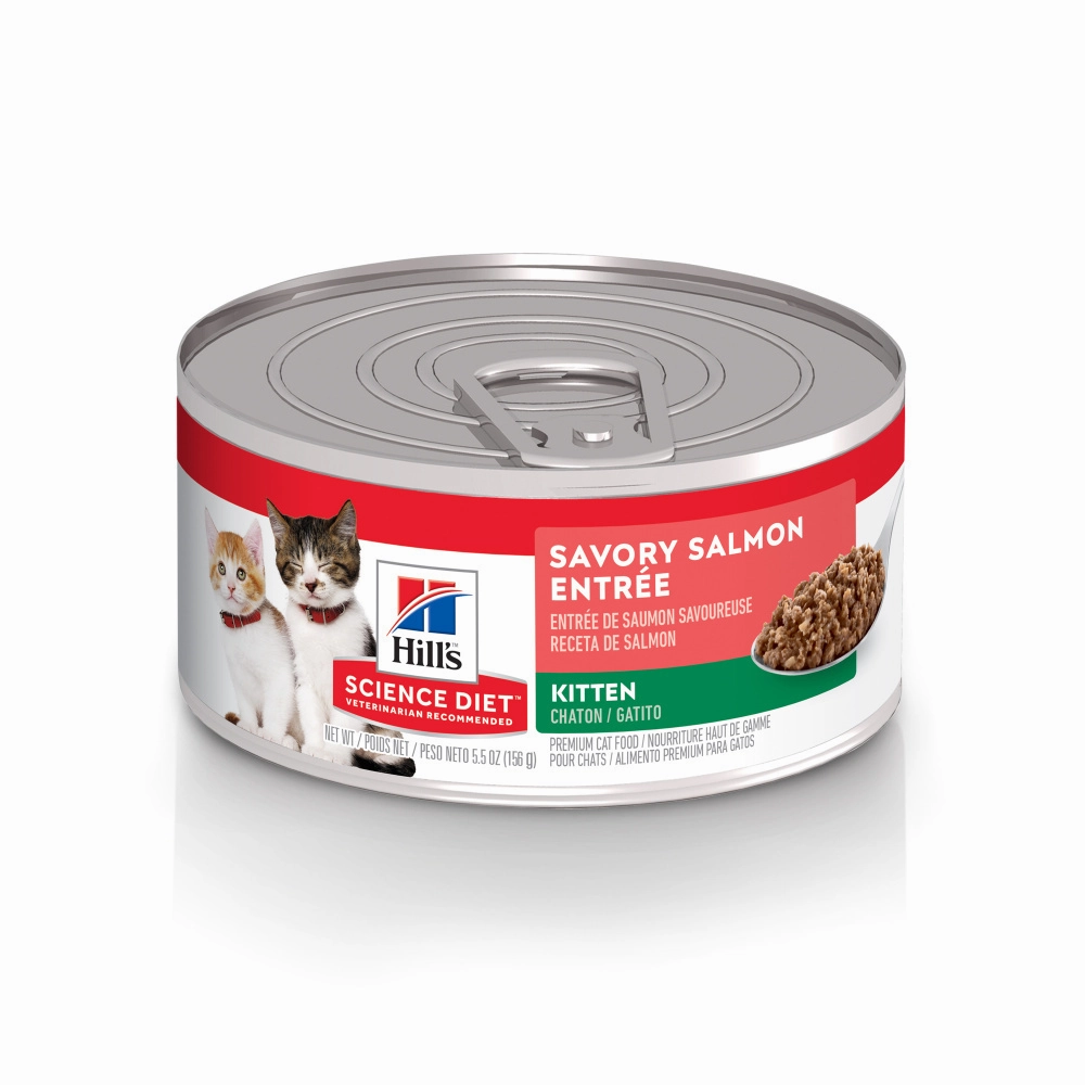 Hill's Science Diet Savory Salmon Entree Canned Kitten Food cat supplies,cat essentials,cat accessories