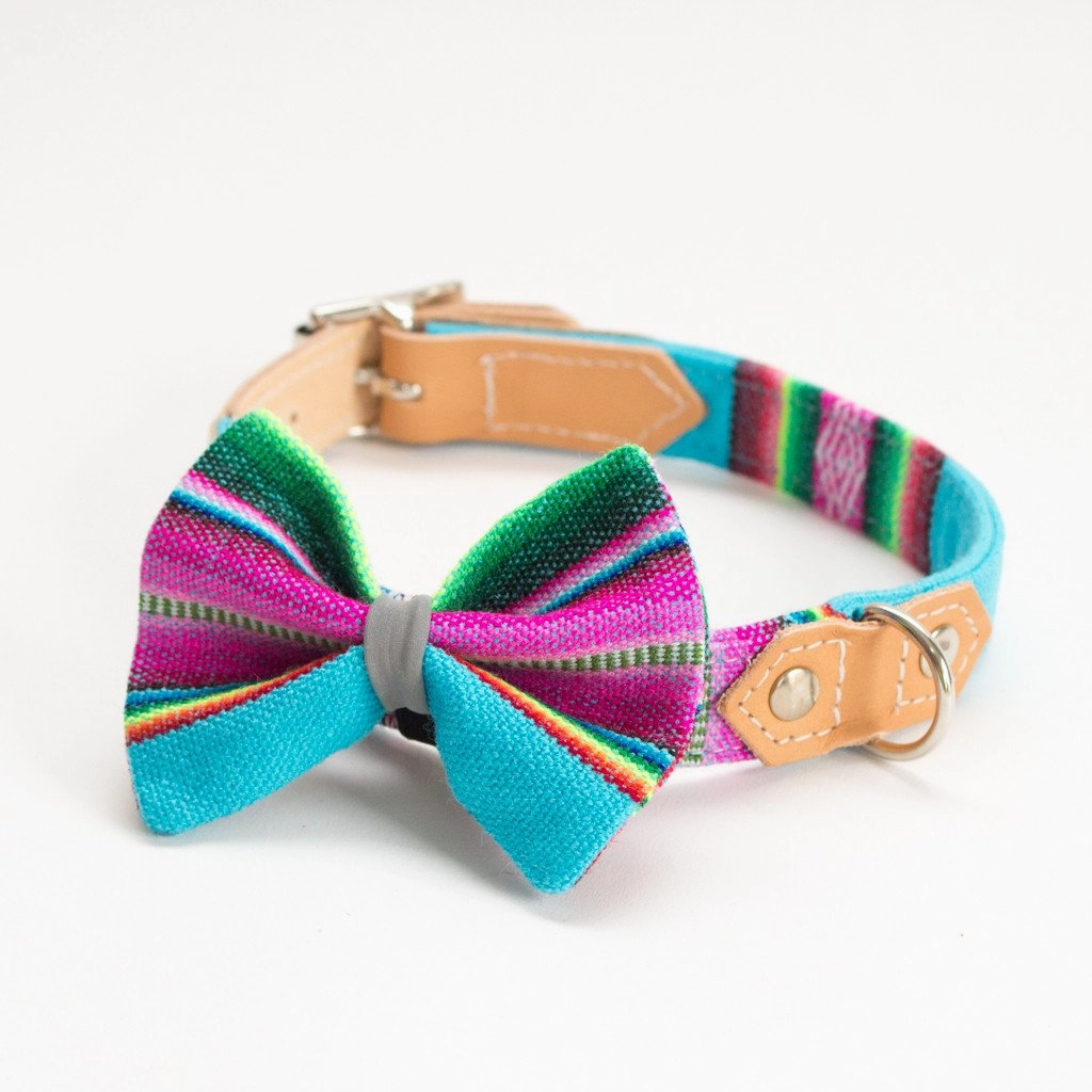 Hiro Wolf Dog Bow Tie: Inca Blue