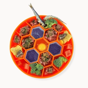 Honeycomb Slow Feeder Bowl dog bowl,slow feeder,pet food dish