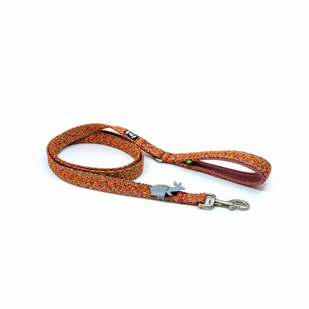 Hurtta Dog Grip Leash: Razzle Dazzle puppy harness,puppy toys,puppy starter kit