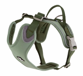 Hurtta Dog Harness: Weekend Warrior Eco, Hedge puppy harness,puppy toys,puppy starter kit