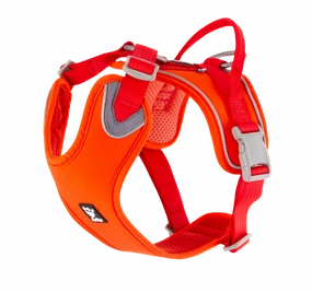 Hurtta Dog Harness: Weekend Warrior Eco, Rosehip puppy harness,puppy toys,puppy starter kit