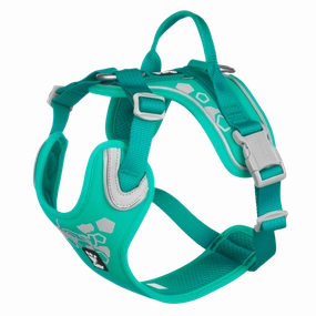 Hurtta Dog Harness: Weekend Warrior, Peacock puppy harness,puppy toys,puppy starter kit