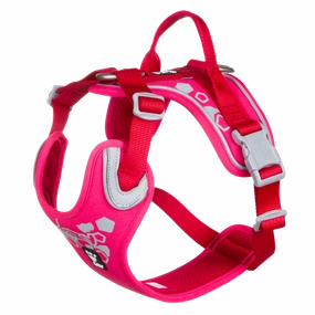 Hurtta Dog Harness: Weekend Warrior, Ruby puppy harness,puppy toys,puppy starter kit