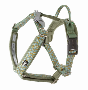 Hurtta Dog Y-Harness: Razzle Dazzle, Hedge puppy harness,puppy toys,puppy starter kit