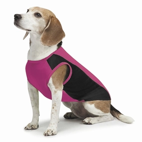 Insect Shield Flea & Tick Cooling Tank (Fuchsia) dog clothes,dog sweater,fashionable dog wear