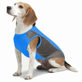 Insect Shield Flea & Tick Cooling Tank (Sapphire) dog clothes,dog sweater,fashionable dog wear