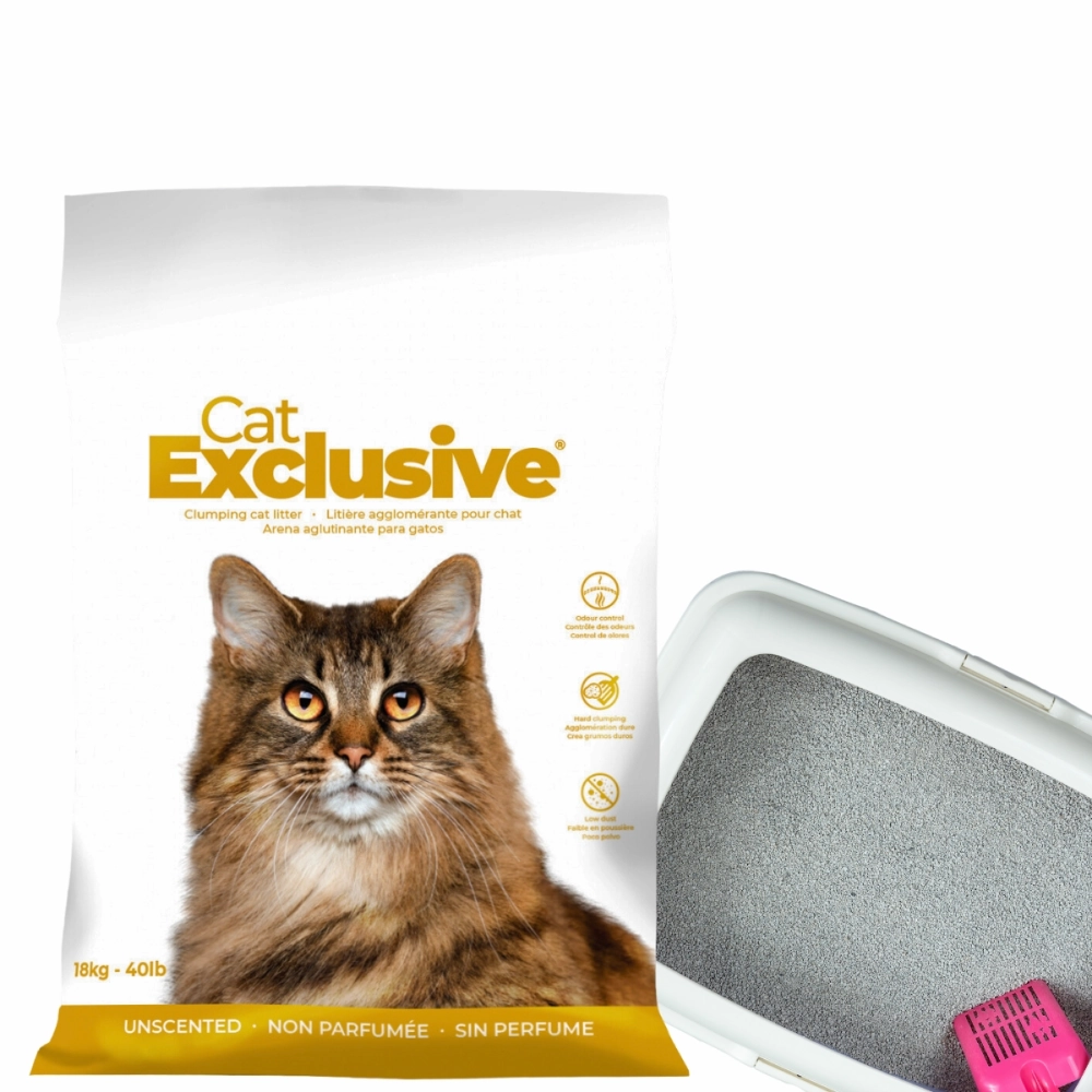 Intersand Cat's Exclusive Sodium Bentonite Clumping Unscented Cat Litter