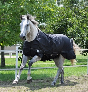 Jeffers 1680D Supreme Plus Medium Weight Turnout Blanket horse blanket,poultry bed sheet,equine sheets
