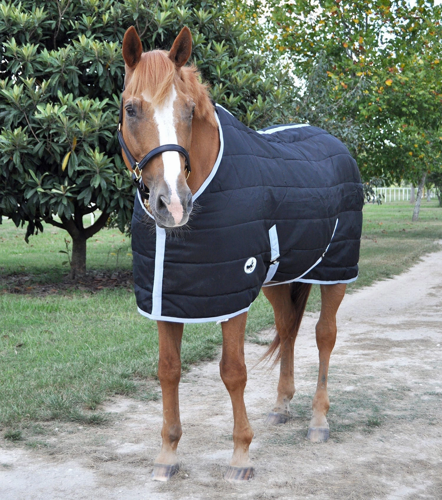 Jeffers Closed Front 240g Fill Stable Blanket for Horses horse blanket,poultry bed sheet,equine sheets