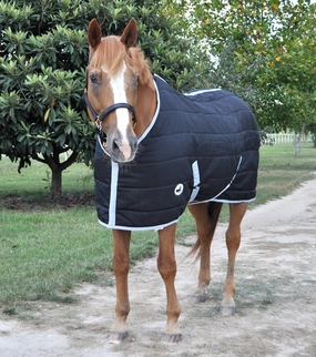 Jeffers Closed Front 240g Fill Stable Blanket for Horses horse blanket,poultry bed sheet,equine sheets