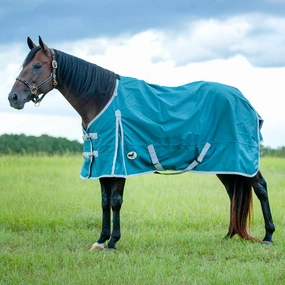 Jeffers Economy 600 Denier Standard Neck Turnout Blanket, 240 Gram horse blanket,poultry bed sheet,equine sheets