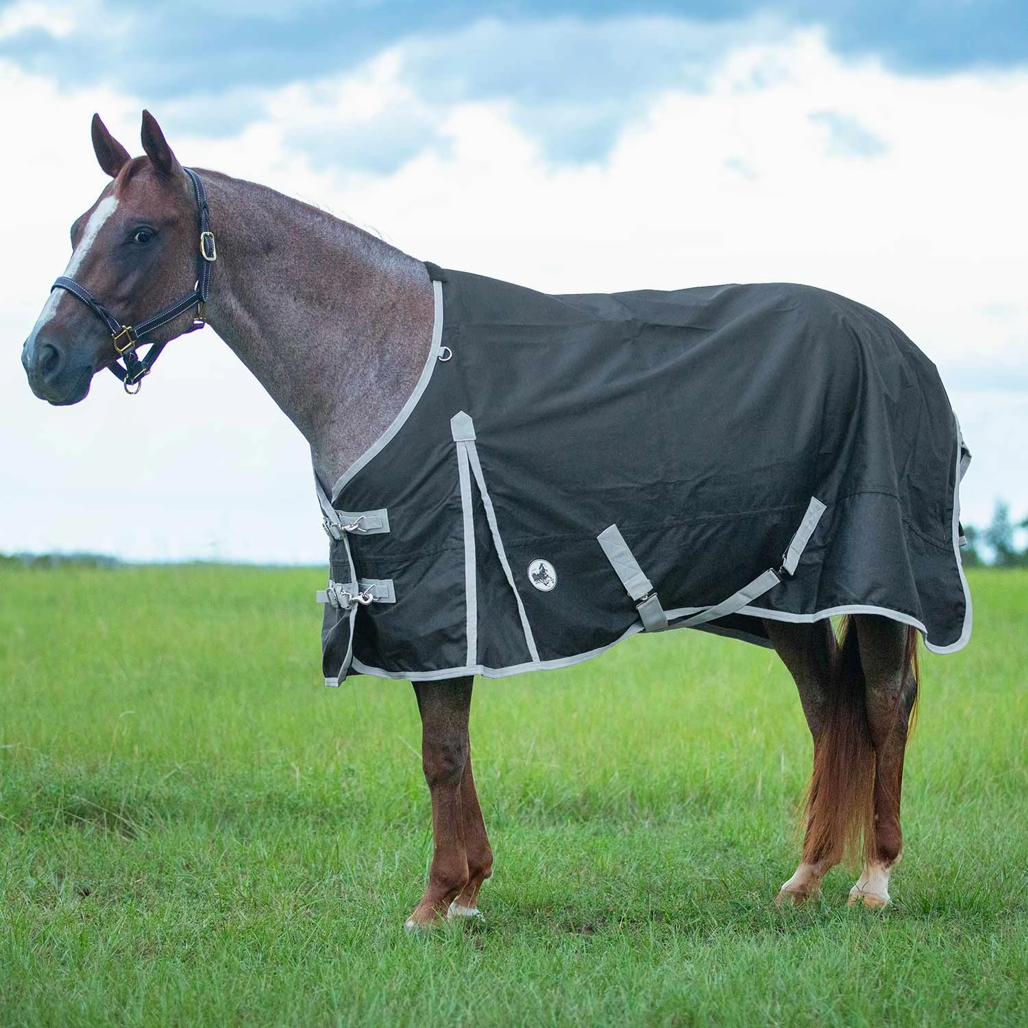 Jeffers Economy 600 Denier Standard Neck Turnout Sheet, 0 Gram horse blanket,poultry bed sheet,equine sheets