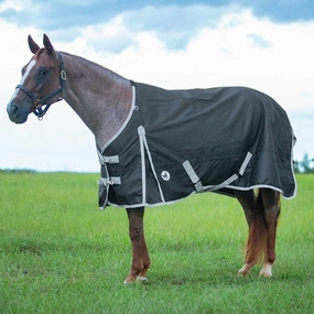 Jeffers Economy 600 Denier Standard Neck Turnout Sheet, 0 Gram horse blanket,poultry bed sheet,equine sheets
