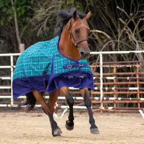 Jeffers Economy 600D Plaid Medium-Weight Horse Turnout Blanket horse blanket,poultry bed sheet,equine sheets