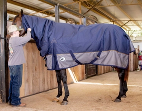 Jeffers Economy Plus 1200 Denier Combo Neck Medium Weight Horse Turnout Blanket, 240 grams horse blanket,poultry bed sheet,equine sheets