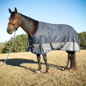 Jeffers Economy Plus 1200 Denier Turnout Blanket with Standard Neck, 240 Gram, Navy & Gray horse blanket,poultry bed sheet,equine sheets
