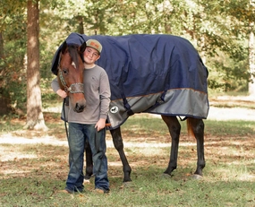 Jeffers Economy Plus Combo Neck Horse Turnout Blanket, 1200D, 360g Fill, Navy/Gray horse blanket,poultry bed sheet,equine sheets