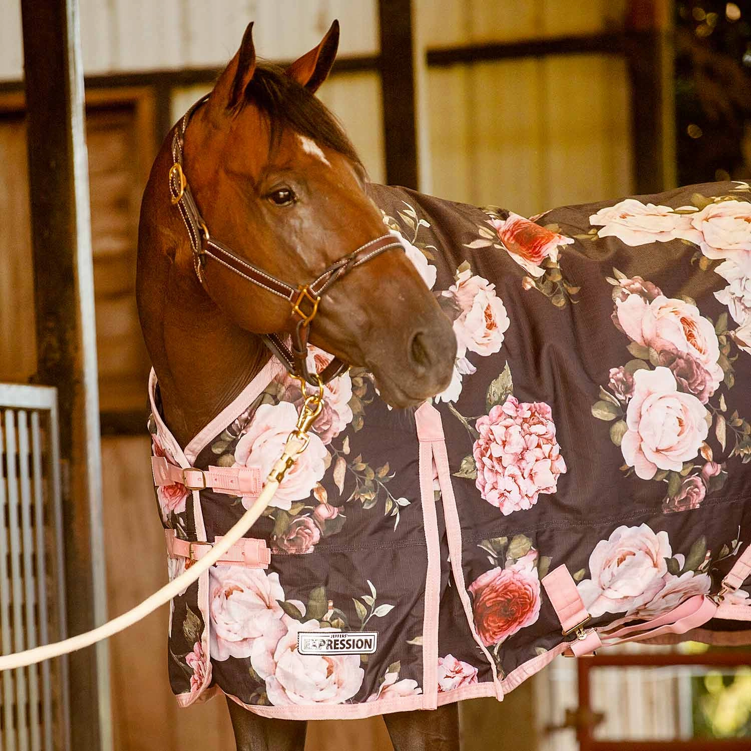 Jeffers Expression 1200 Denier Standard Neck Turnout Horse Blanket, 240 Gram horse blanket,poultry bed sheet,equine sheets