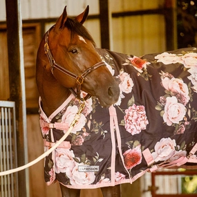 Jeffers Expression 1200 Denier Standard Neck Turnout Horse Blanket, 240 Gram horse blanket,poultry bed sheet,equine sheets