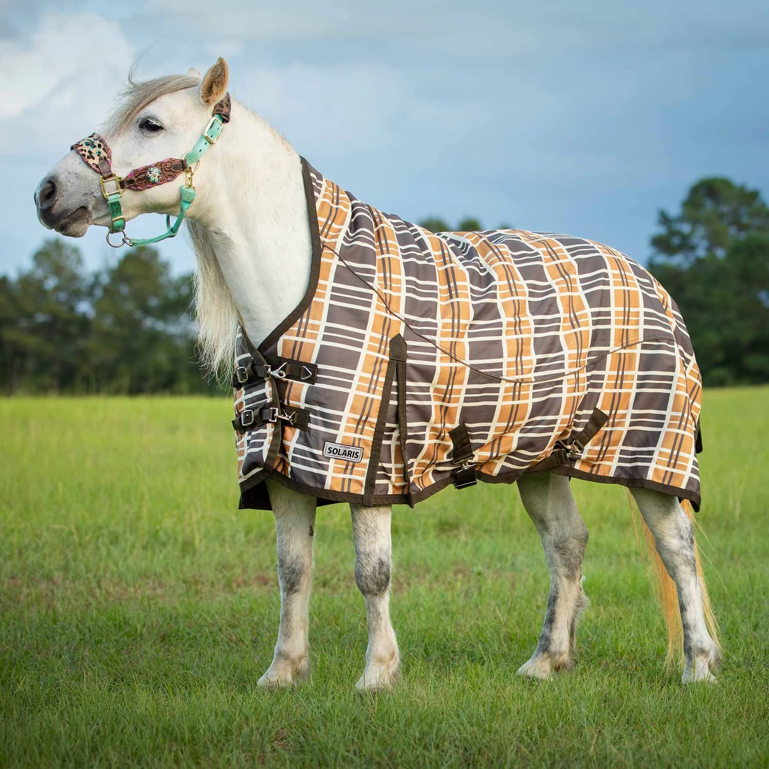 Jeffers Pony Poppins Solaris Extended Neck Horse Turnout Blanket, Brown & Cream Plaid horse blanket,poultry bed sheet,equine sheets