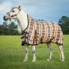 Jeffers Pony Poppins Solaris Extended Neck Horse Turnout Blanket, Brown & Cream Plaid horse blanket,poultry bed sheet,equine sheets