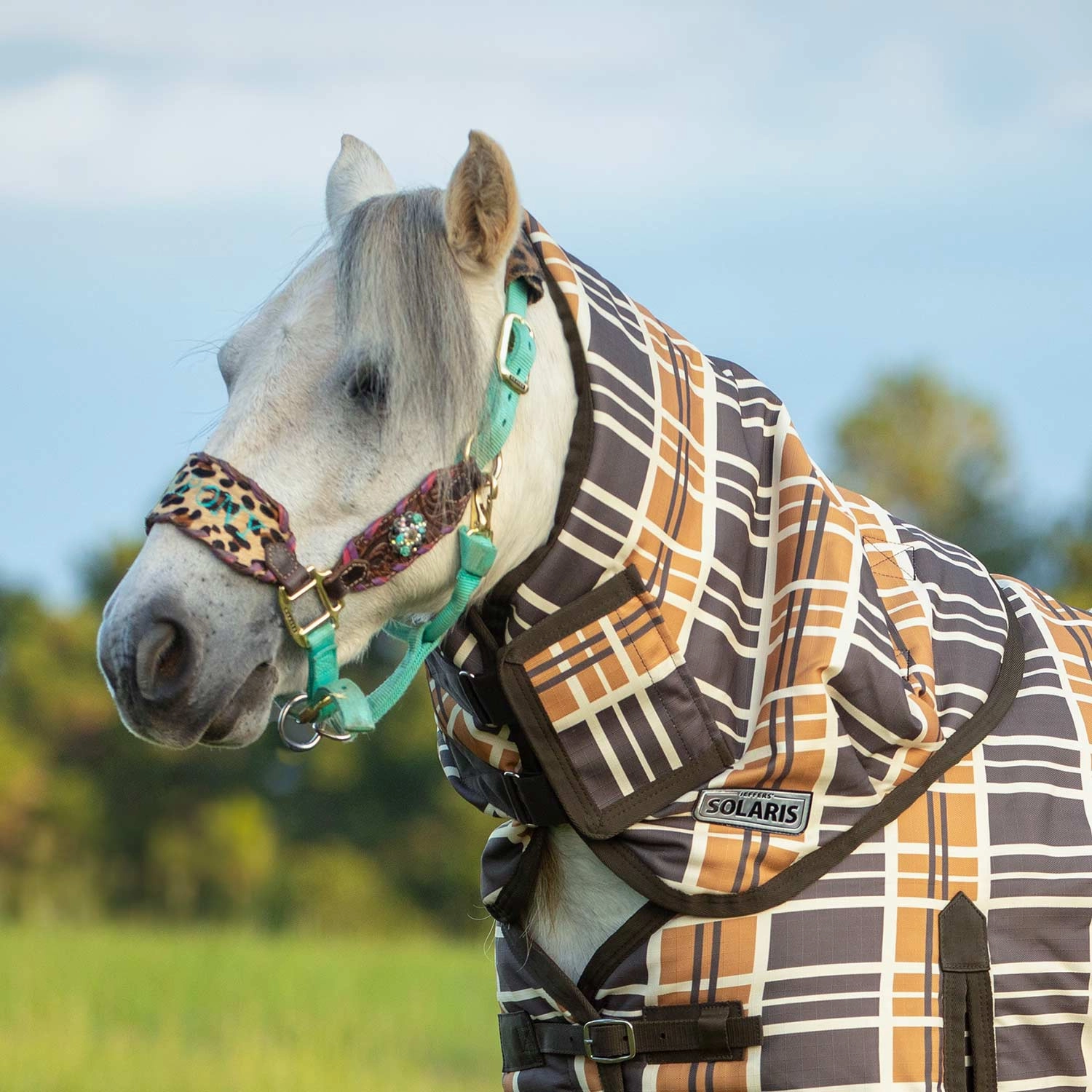 Jeffers Pony Poppins Solaris Horse Neck Rug, 1200 Denier / 240g Fill, Brown & Cream Plaid horse blanket,poultry bed sheet,equine sheets