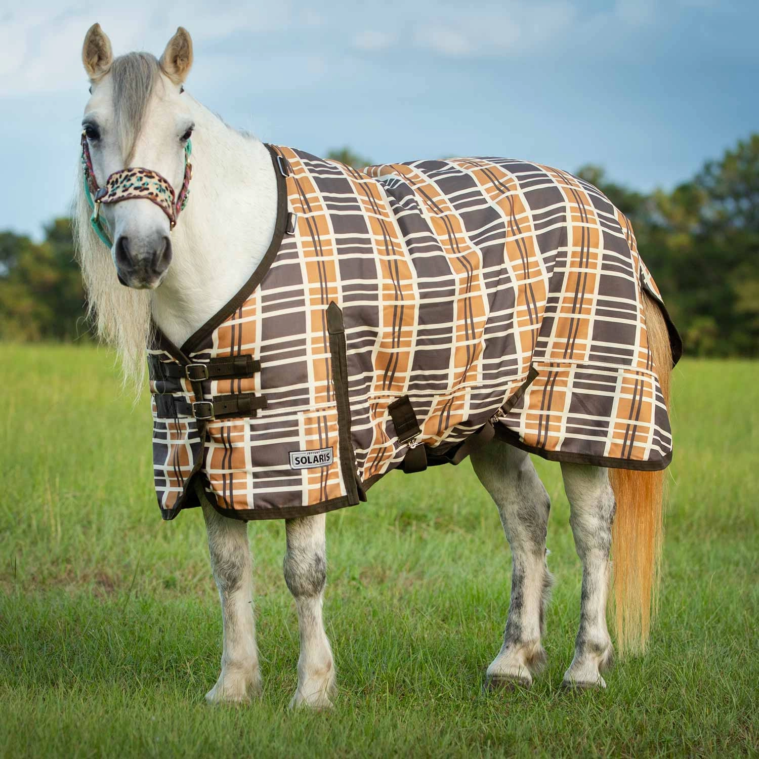 Jeffers Pony Poppins Solaris Horse Turnout Sheet for Ponies, Brown & Cream Plaid horse blanket,poultry bed sheet,equine sheets