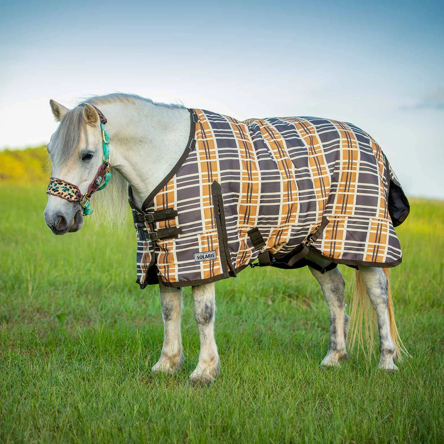 Jeffers Pony Poppins Solaris Pony Horse Turnout Blanket, Brown & Cream Plaid