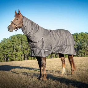 Jeffers Poplar Head Defense 1680 Denier Turnout Blanket with Detachable Neck, 240 Gram, Plymouth Brown horse blanket,poultry bed sheet,equine sheets