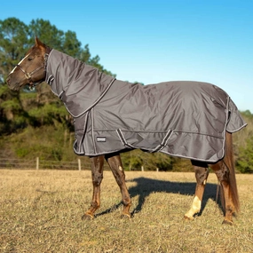 Jeffers Poplar Head Defense 1680 Denier Turnout Blanket with Detachable Neck, 360 Gram, Plymouth Brown horse blanket,poultry bed sheet,equine sheets