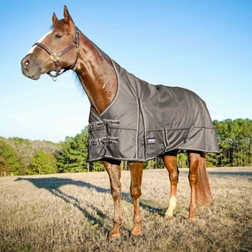 Jeffers Poplar Head Defense 1680 Denier Turnout Blanket with High Neck, 240 Gram, Plymouth Brown horse blanket,poultry bed sheet,equine sheets