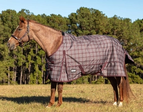 Jeffers Poplar Head Origin 600 Denier Turnout Blanket, 0 Gram, Espresso and Wine Plaid horse blanket,poultry bed sheet,equine sheets