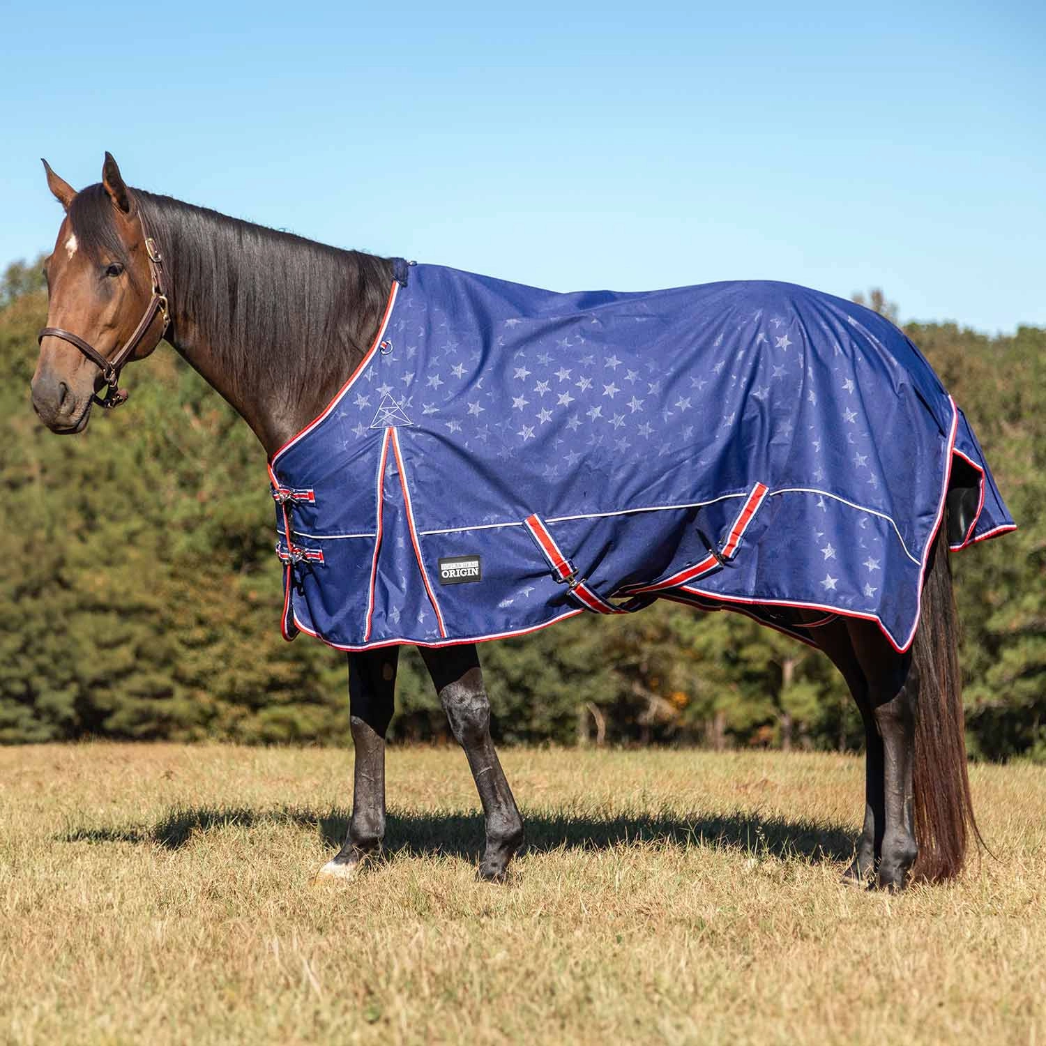 Jeffers Poplar Head Origin 600 Denier Turnout Blanket, 240 Gram, Allegiance