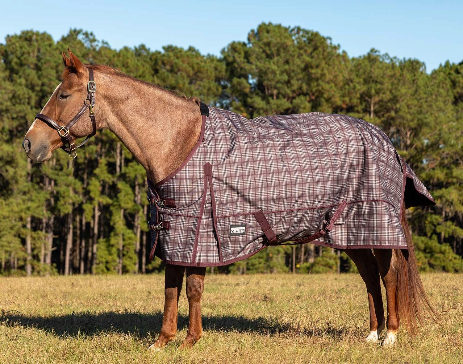 Jeffers Poplar Head Origin 600 Denier Turnout Blanket, 240 Gram, Espresso and Wine Plaid horse blanket,poultry bed sheet,equine sheets