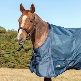 Jeffers Poplar Head Origin 600 Denier Turnout Sheet, 0 Gram, Blue Jean Baby horse blanket,poultry bed sheet,equine sheets