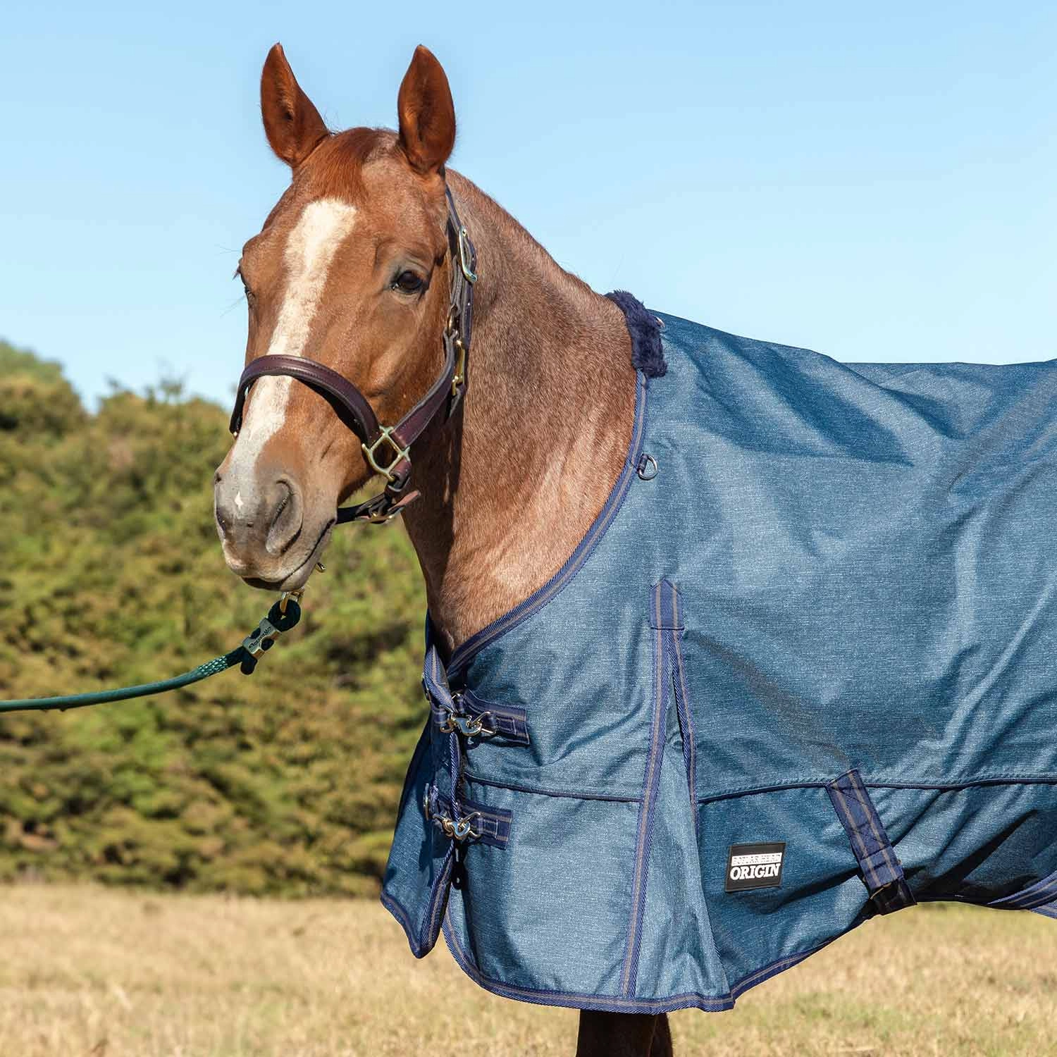 Jeffers Poplar Head Origin 600 Denier Turnout Sheet, 0 Gram, Blue Jean Baby horse blanket,poultry bed sheet,equine sheets