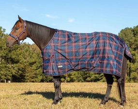 Jeffers Poplar Head Origin 600 Denier Turnout Sheet, 0 Gram, Navy and Merlot Plaid horse blanket,poultry bed sheet,equine sheets