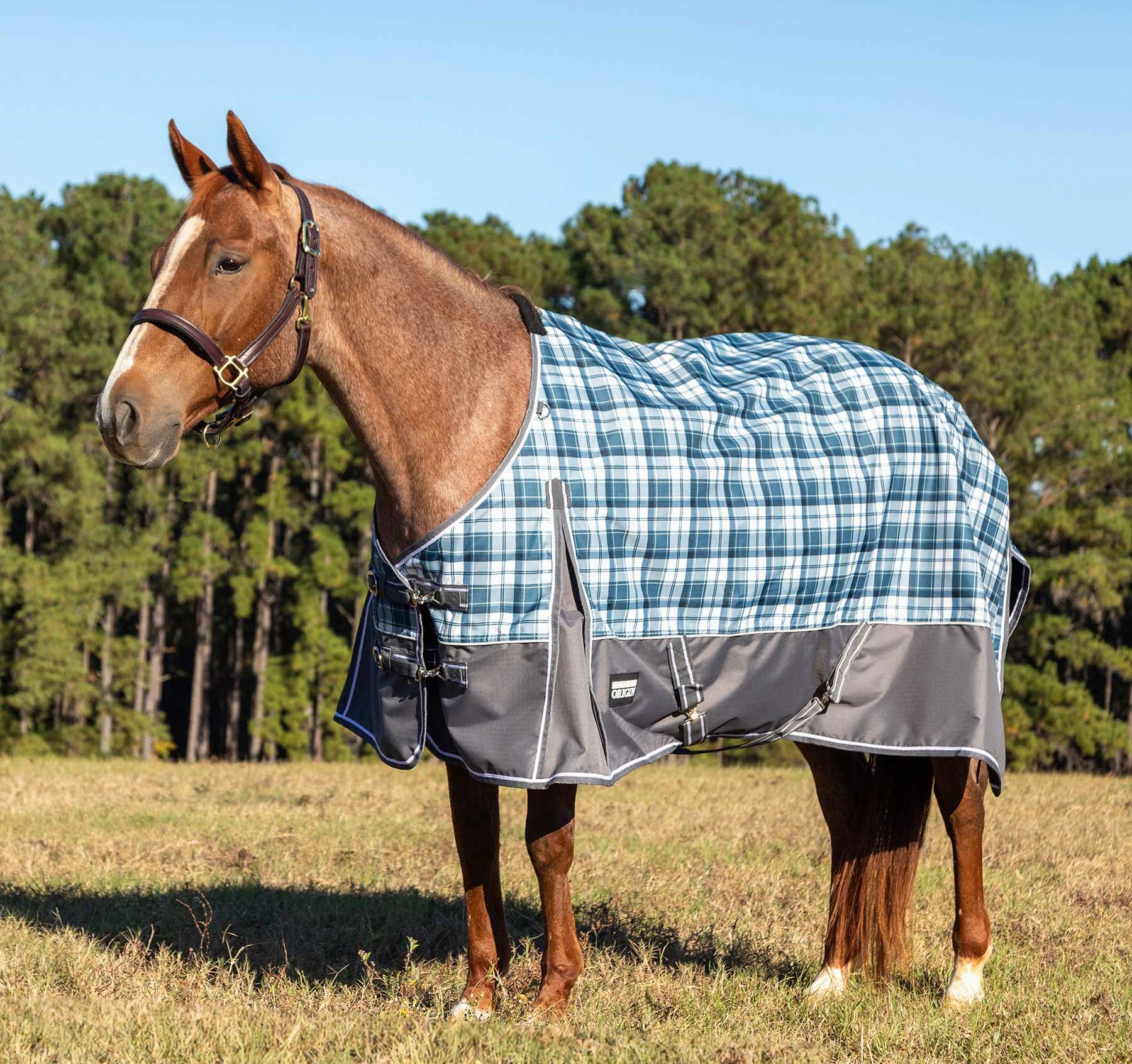 Jeffers Poplar Head Origin 600 Denier Turnout Sheet, 0 Gram, Waterloo and Cream Plaid horse blanket,poultry bed sheet,equine sheets