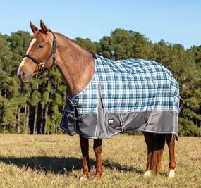 Jeffers Poplar Head Origin 600 Denier Turnout Sheet, 0 Gram, Waterloo and Cream Plaid horse blanket,poultry bed sheet,equine sheets