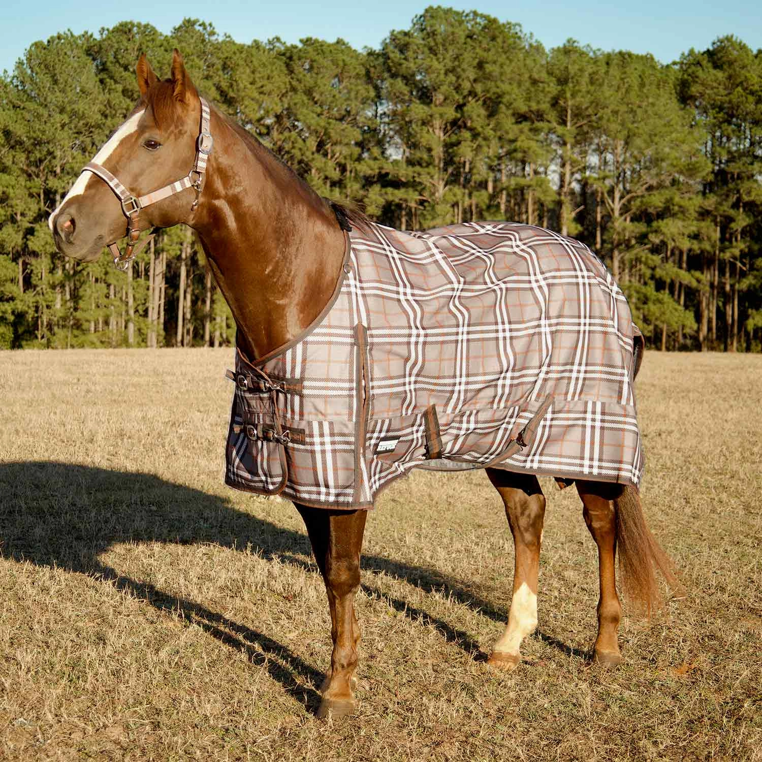 Jeffers Poplar Head Refuge 1200 Denier Turnout Blanket, 240 Gram, Plymouth Brown Plaid horse blanket,poultry bed sheet,equine sheets